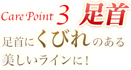 Care Point 3 足首 足首にくびれのある美しいラインに!