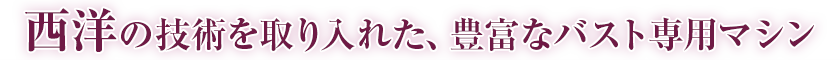 西洋の技術を取り入れた、豊富なバスト専用マシン