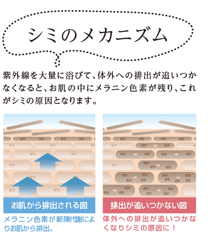 しみのメカニズム